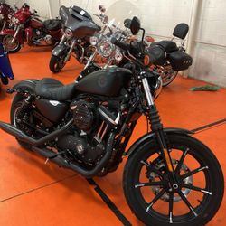 2019 Harley Davidson 883 Iron