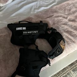 Harness 