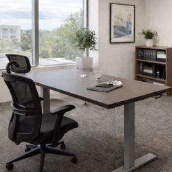 Electric Adjustable Desk