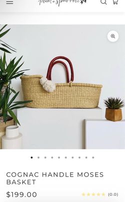 Moses Basket