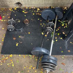 Assorted Weights W/ 2 Bars And Dumbbells