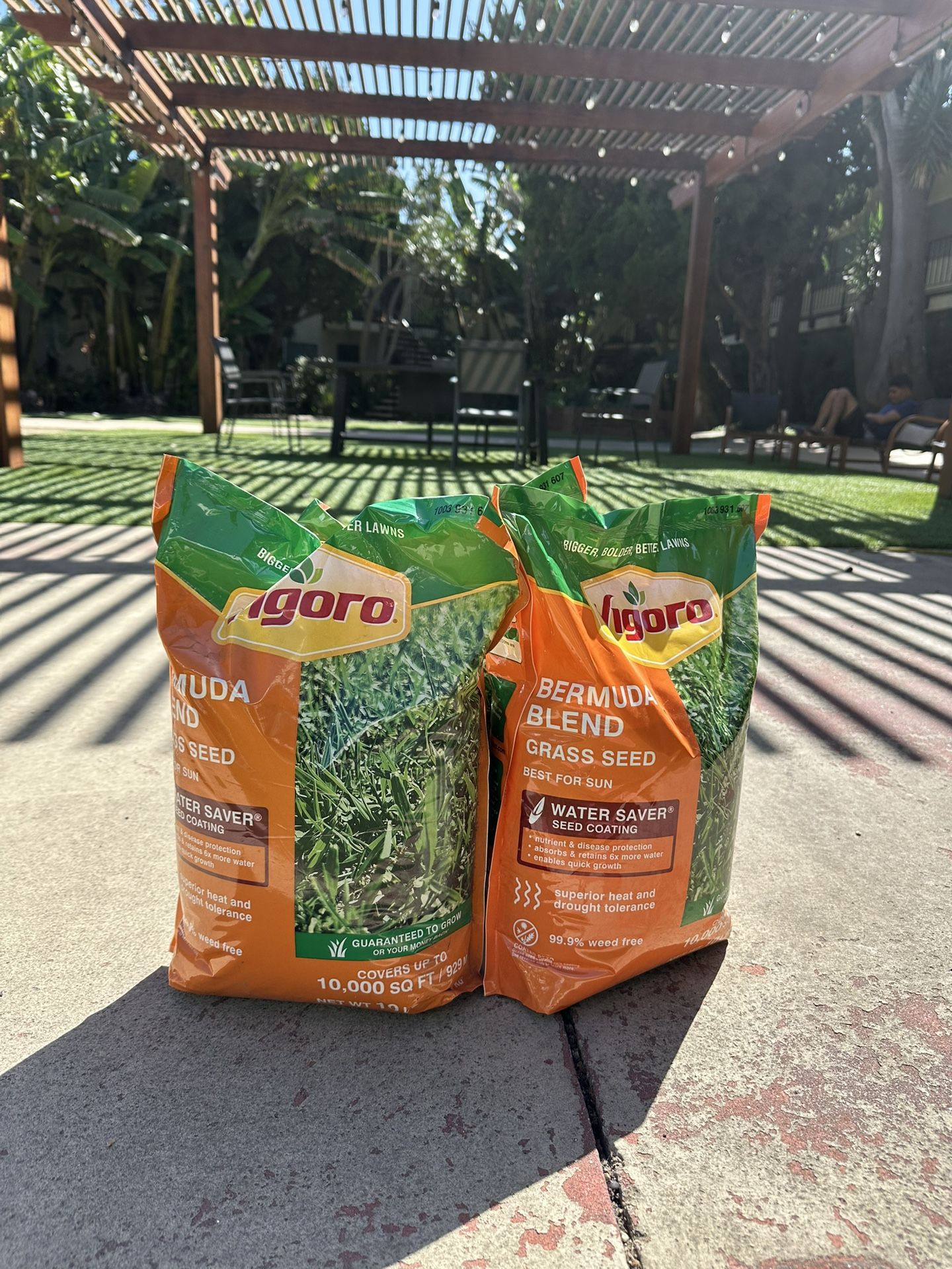 Vigoro 10lbs Bermuda Seed Blend With Water Saver Coating