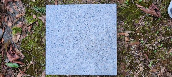 New Natural Granite Tiles