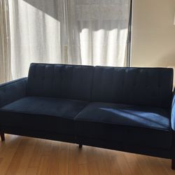 Sleeper Sofa