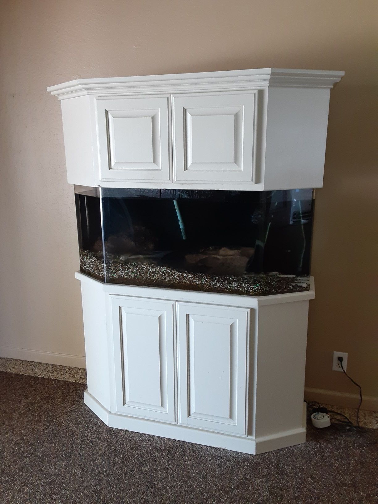 40 gal fish tank with fish