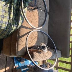 Bicycle Rims