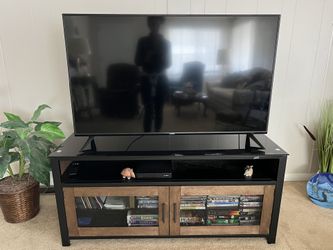 Vizio 48 In Tv And Stand