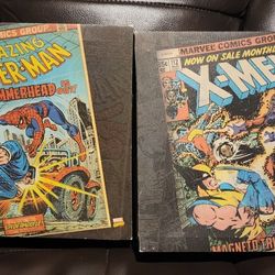 Spiderman and Xmen Pictures 