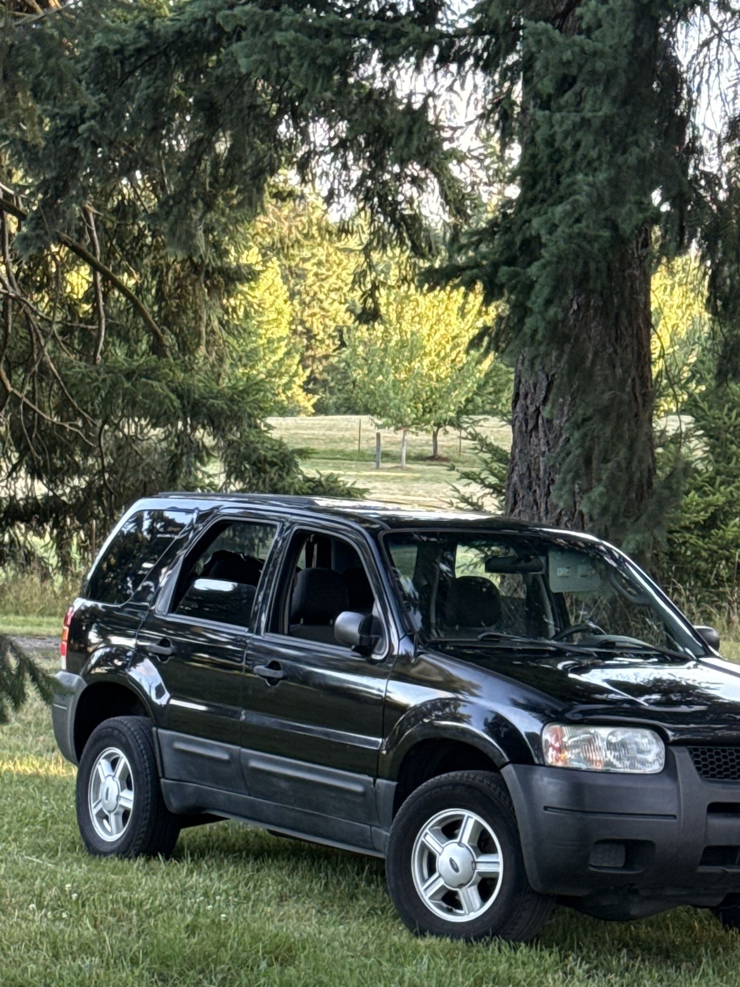 2004 Ford Escape