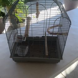 Bird Cage 