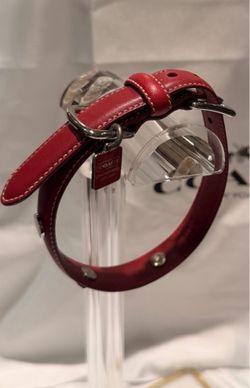 Coach Pet Collar