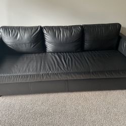 Ikea Friheten Sleeper Sofa