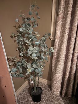 Fake Olive Tree