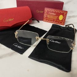 Big C Decor Clear Lens Sunglasses Unisex Gold/black Frame- Never Worn