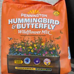 Hummingbird Mix