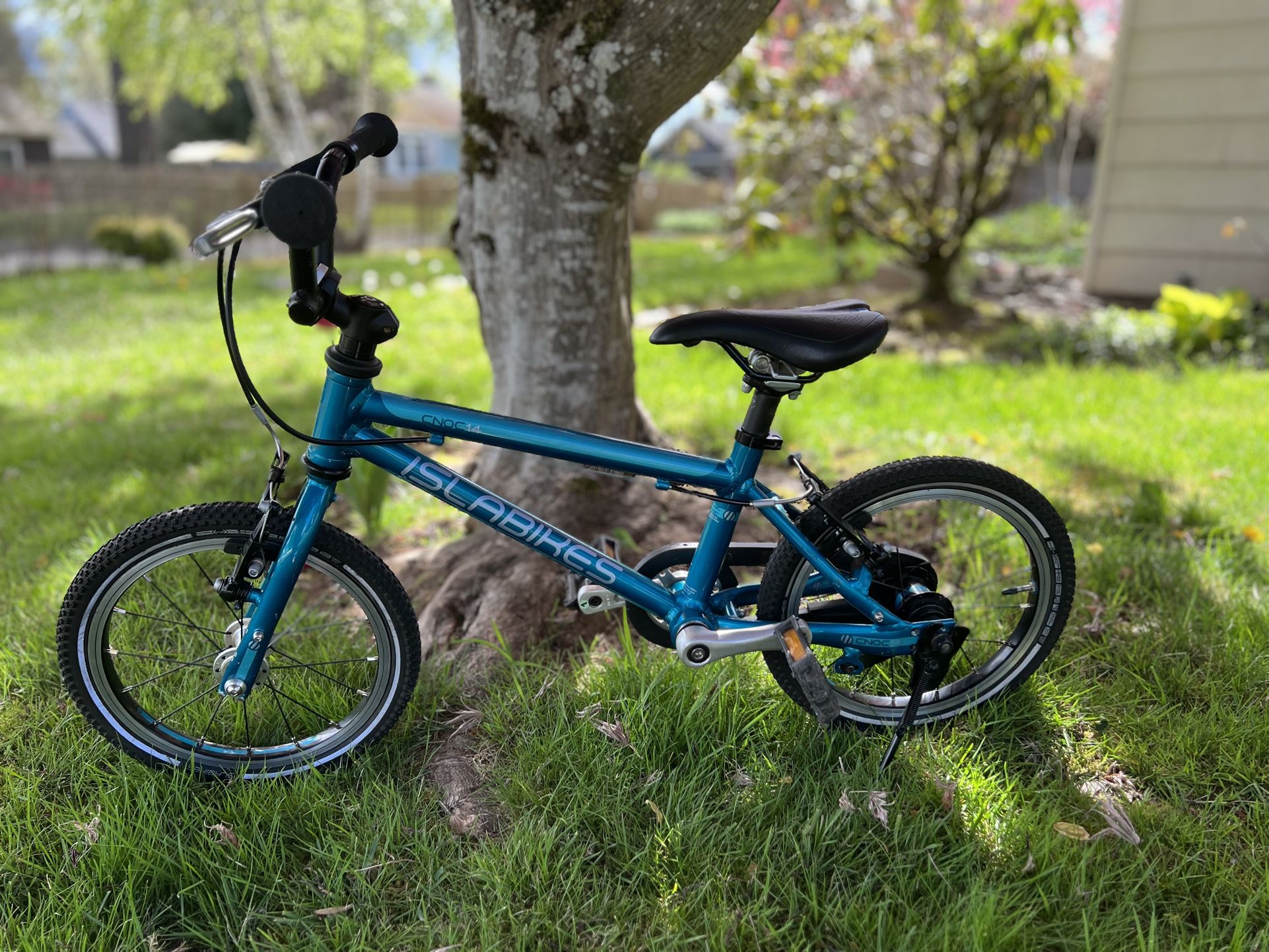 Isla Bikes CNOC 14 Kids’ bike (14” coaster and V hand brakes) - Teal