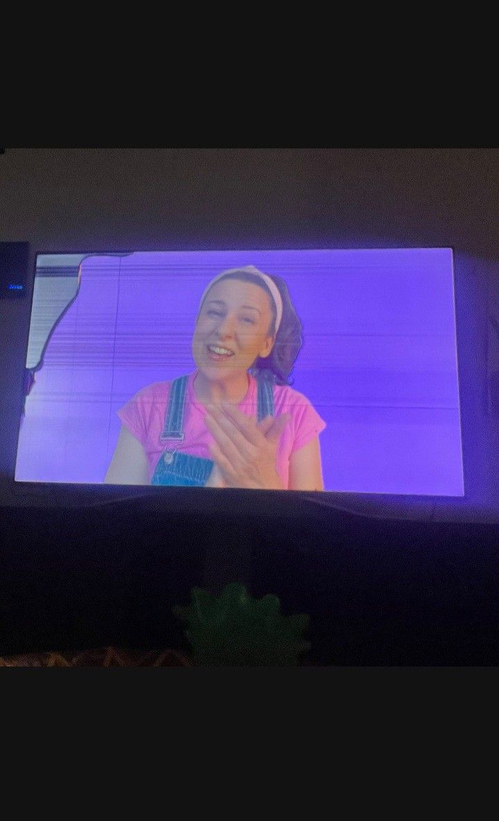 55 Inch TV