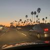 Shaw_kia