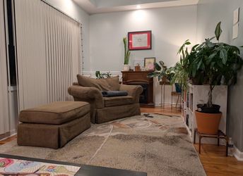 Large Area Rug