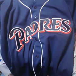 Baseball Jersey Sz. Large