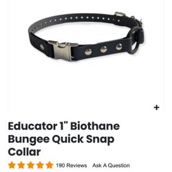 E-collar Strap Biothane Bungee Quick Release 