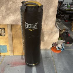 Heavy  Bag
