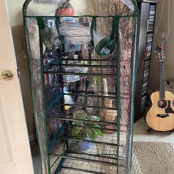 Small Indoors Greenhouse 