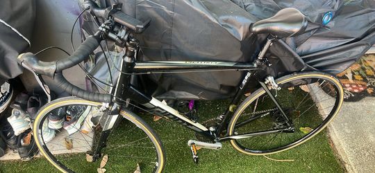 Giant Contend 3