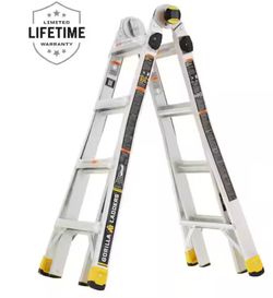 Gorilla Ladder