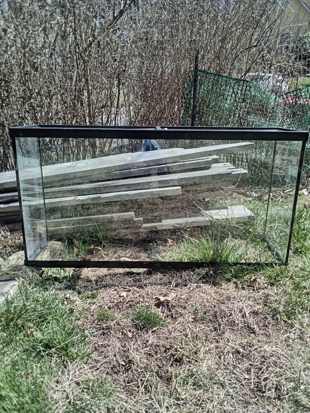 Fish Tank