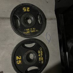25lb Plates 