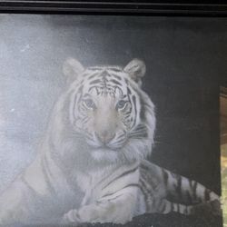 Tiger Wall Picture