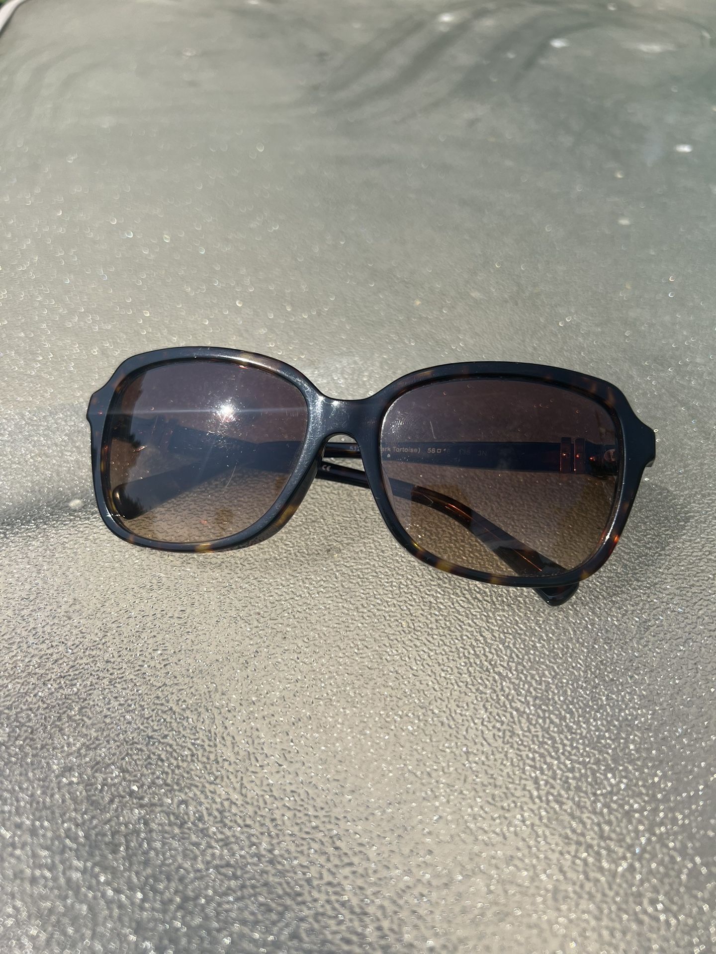 Coach HC8179 Sunglasses