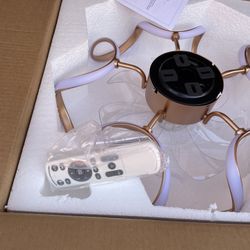 20 in. Integrated LED Indoor Gold Futuristic Modern Flush Mount Low Profile Ceiling Fan with Light, APP & Remote Control