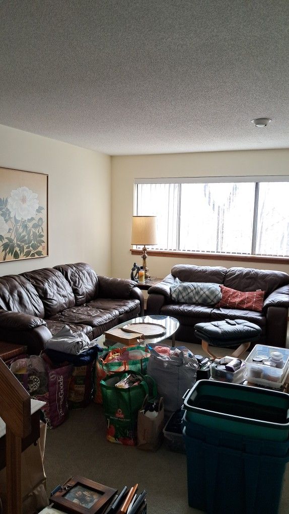 Leather Couch And Loveseat