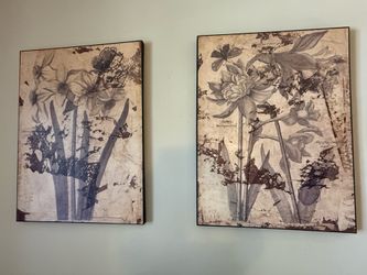 Set of 2 - Floral Canvas artwork