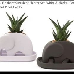 Matani Elephant Succulent Planter Set (White & Black) - Concrete Elephant Plant Holder