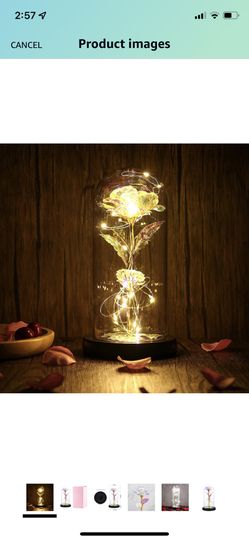 Beauty and The Beast Rose Gift Artificial Flower Colorful Rose with Led Light String on The Colorful Rose Lasts Forever in A Glass Dome Elegant Gifts 