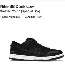 Nike SB Dunk Low Wasted Youth Size 8.5
