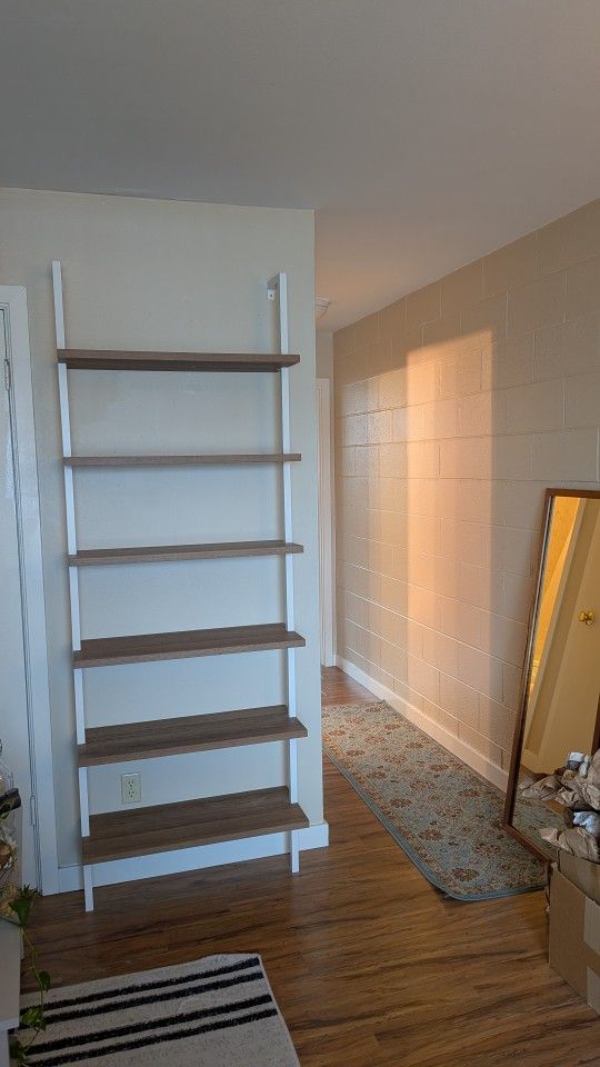 Tall Sturdy Light -Filled Bookcase 