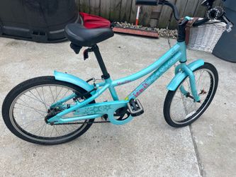 Jami’s bike 20x1.75