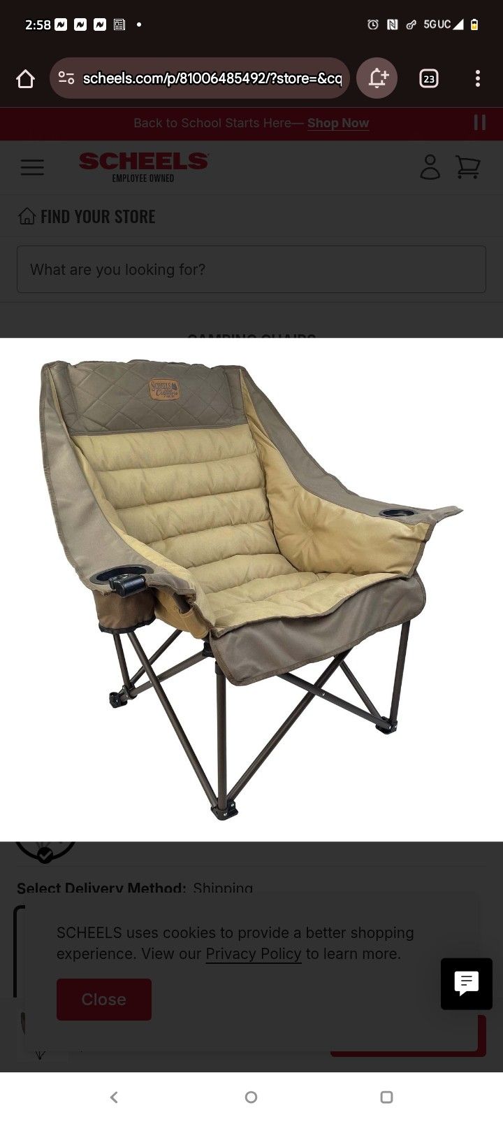 XL Big Bear Padded Chair 