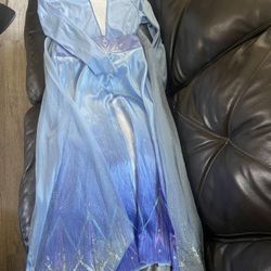 Frozen Costume 