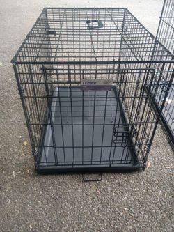 For dogs and cats