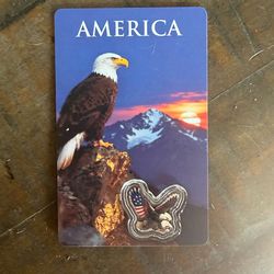 1 gram colorized silver American Eagle with coa