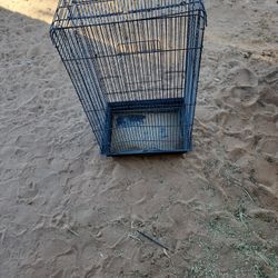 Bird Cage 