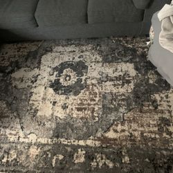 Boutique Area Rug
