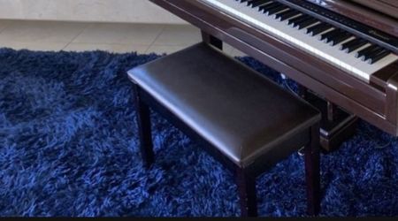 Have 2 Matching Area Rugs 9by 12 