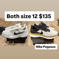 Nike Pegasus men’s size 12