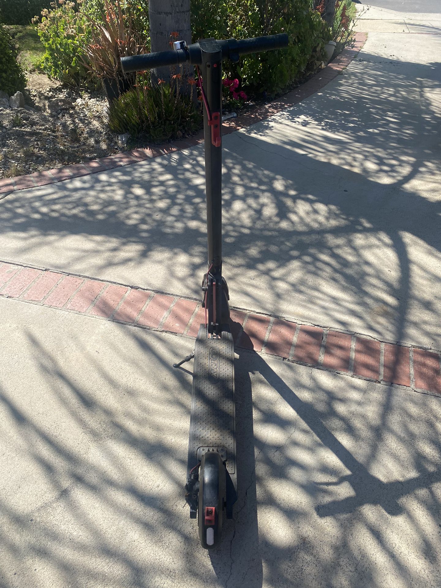 Electric Gotrax Scooter